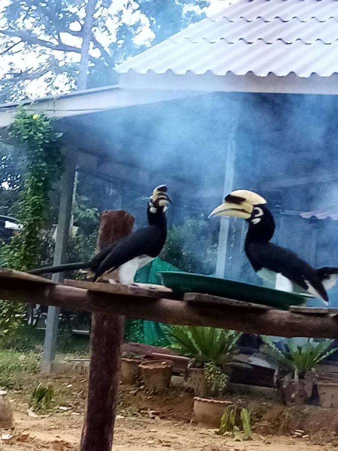 Eco Bungalow Koh Phayam Esterno foto