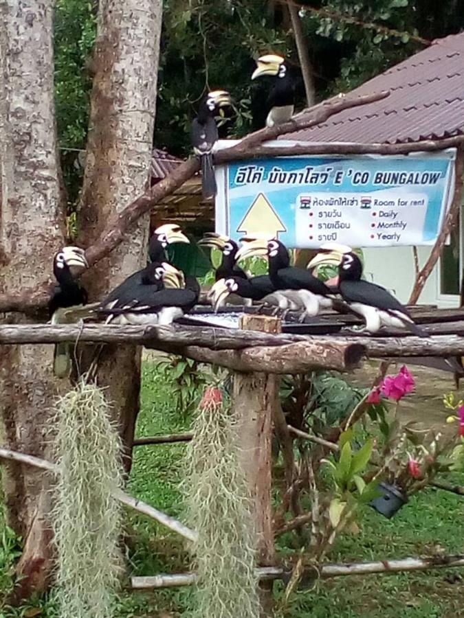 Eco Bungalow Koh Phayam Esterno foto