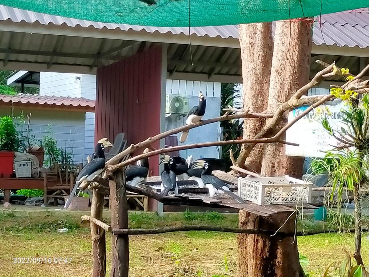 Eco Bungalow Koh Phayam Esterno foto