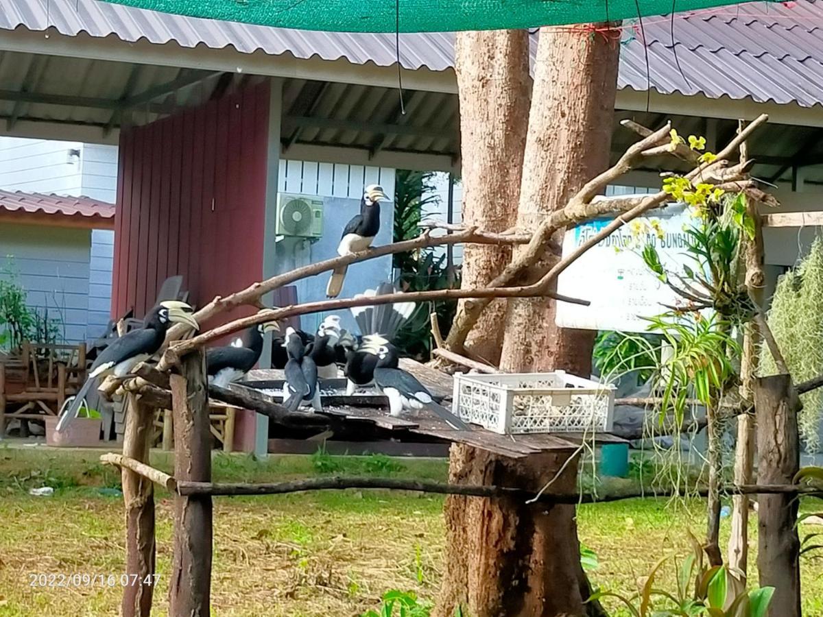 Eco Bungalow Koh Phayam Esterno foto