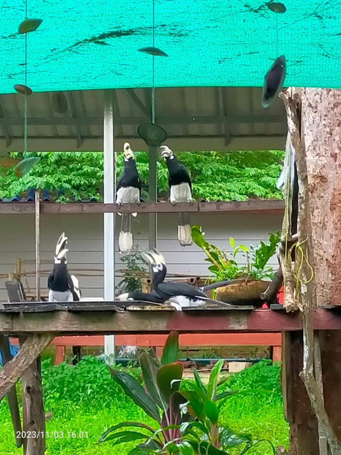 Eco Bungalow Koh Phayam Esterno foto