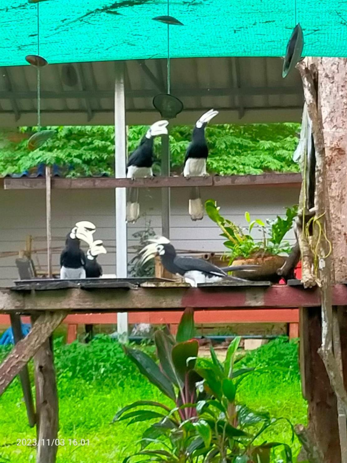 Eco Bungalow Koh Phayam Esterno foto